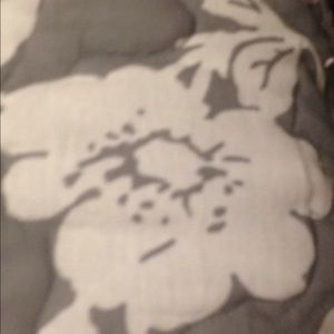 Meet your Posher, Shealy